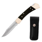 Buck 110 Folding Hunter