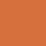 Citadel Layer: Troll Slayer Orange