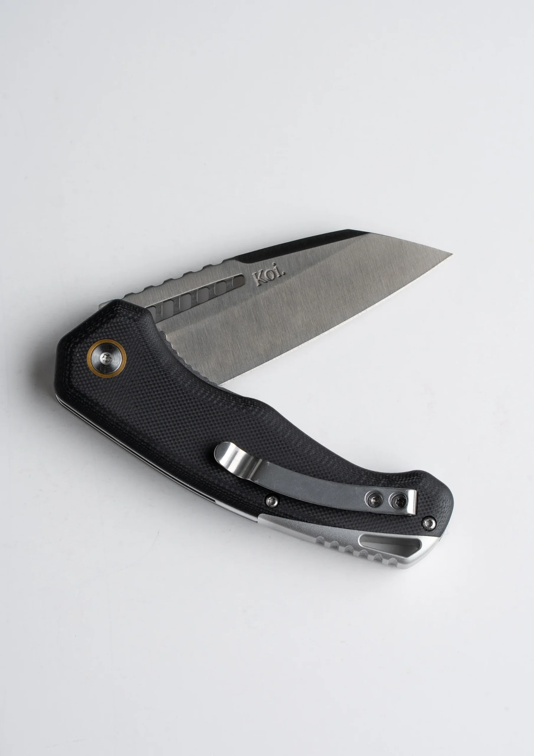 Currawong_3