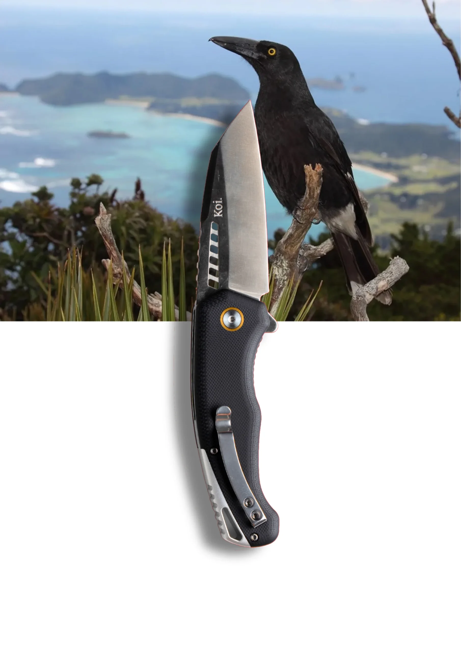 "Karen" | The Currawong