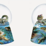 Darwin Snow Glob