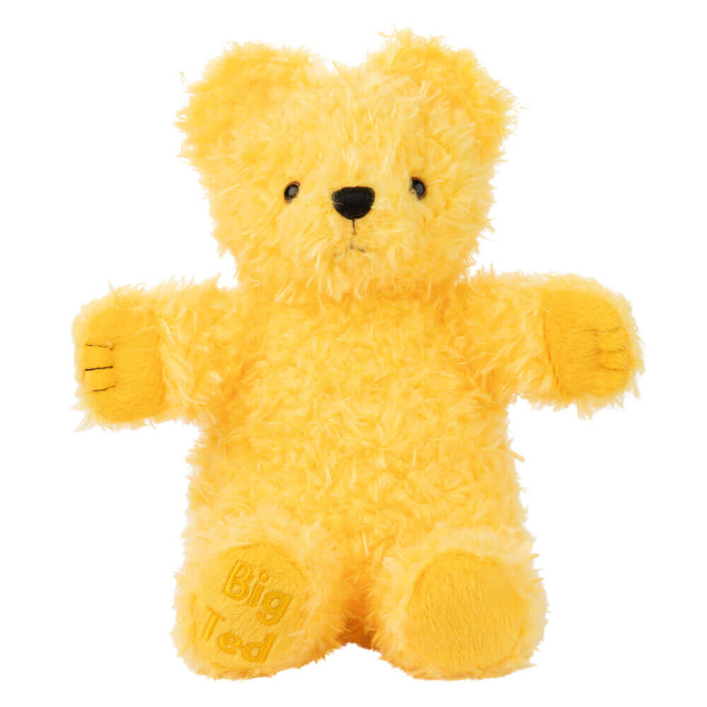 Play School Big Ted Plush 27cm